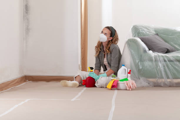 Reliable Mold Inspection contractor in Doylesburg, PA by WQB Mold Removal